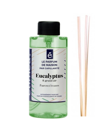 Parfum de maison Eucalyptus