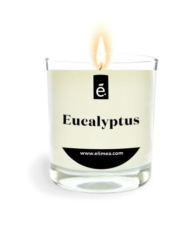 Bougie Parfumée Eucalyptus